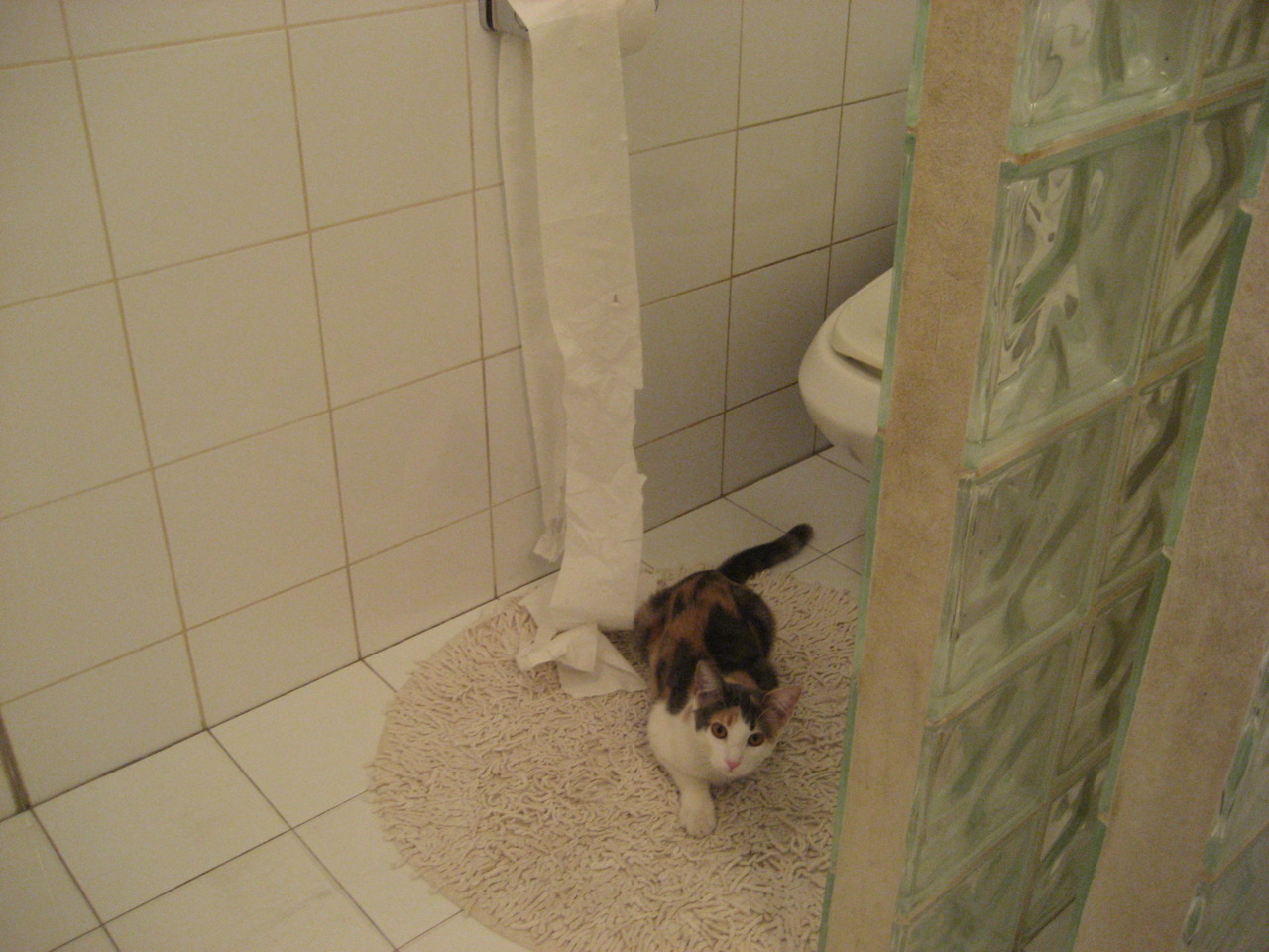 开云体育链接-WRC车队合作：团队配合决定胜负，wrc车队排名