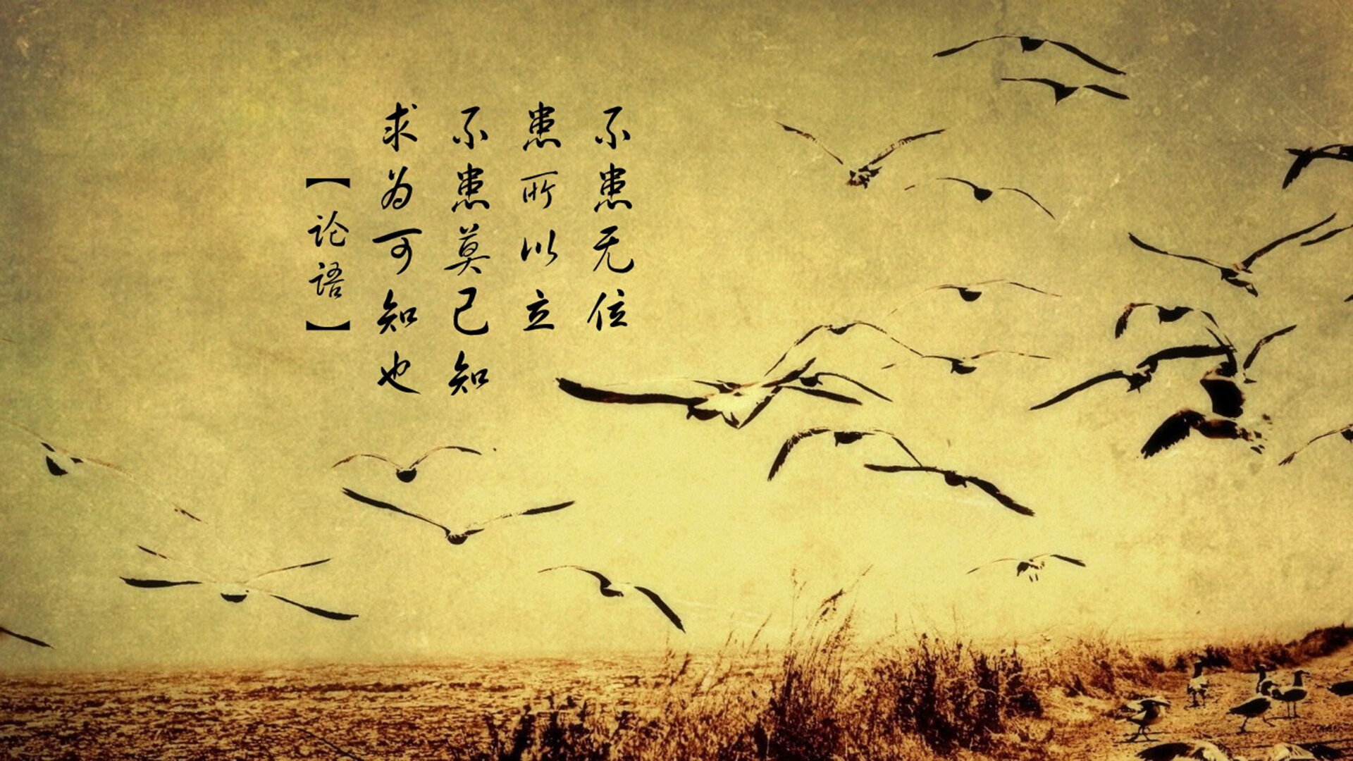 开云·体育官方网站入口-“足球+旅游+文化”融合产业研究院在行业内建立示范作用，融合文旅集团有限公司