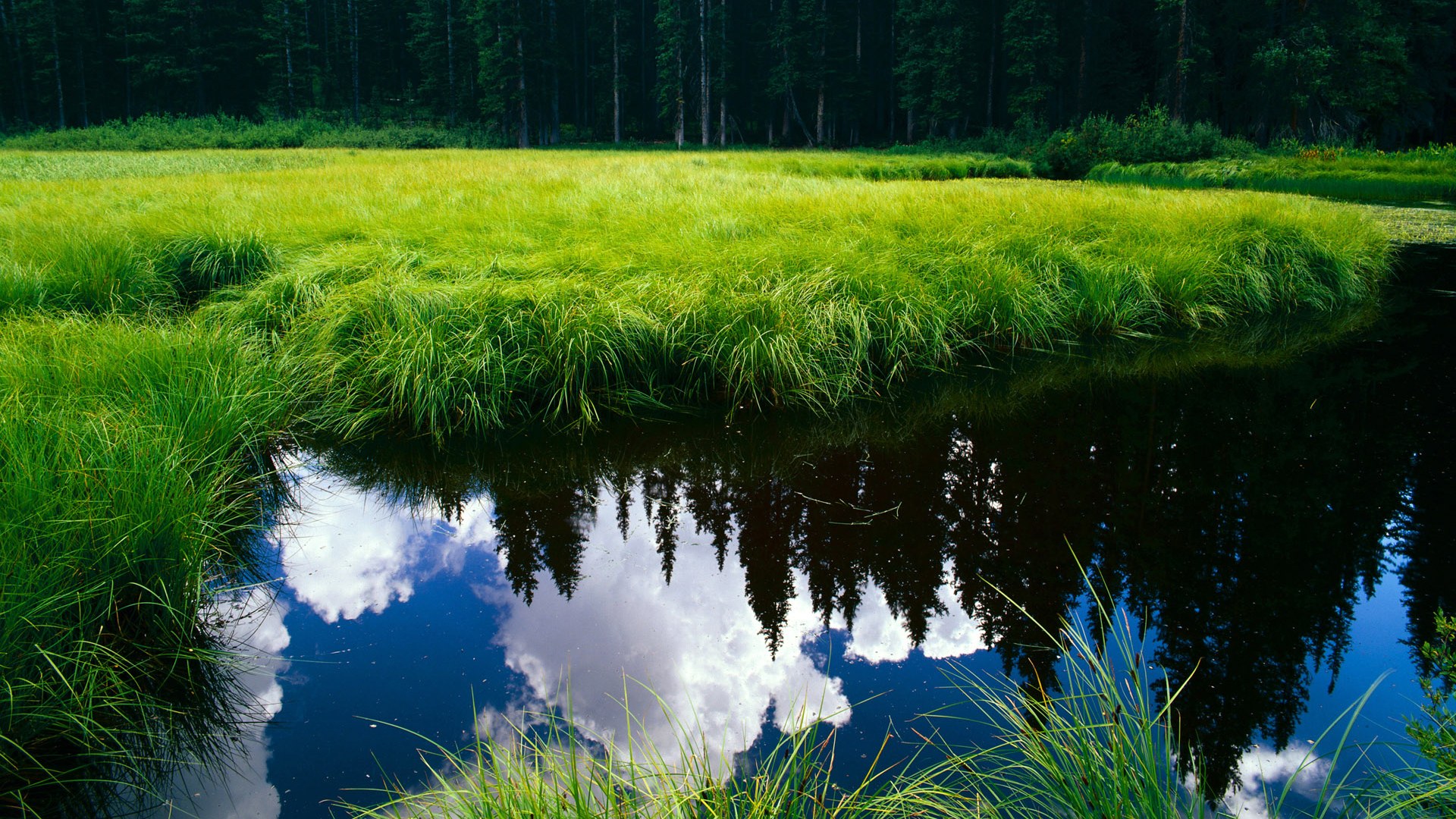 开云中国大陆-令人窒息的“点球绝杀”集锦，点球经典